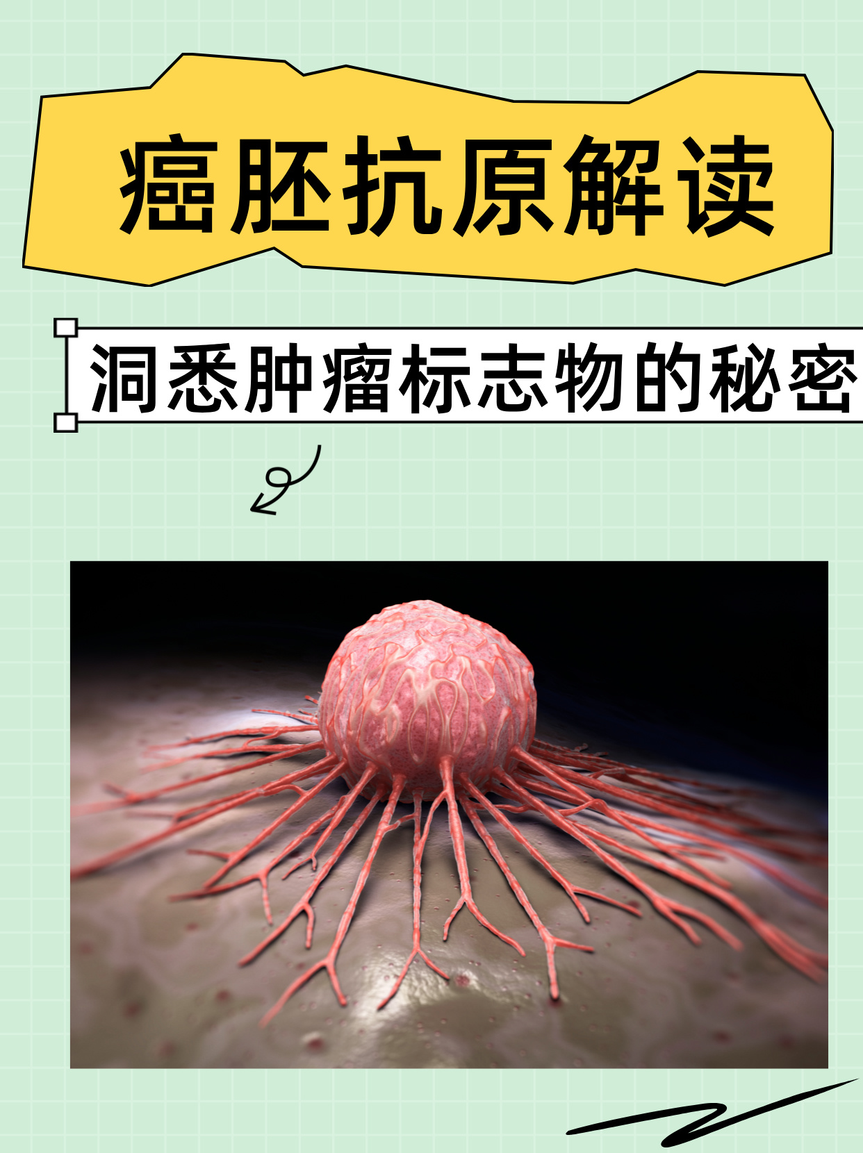 kpl竞猜平台 -包含癌y/嘔he箹??纯褛鰥畘珫哘的词条