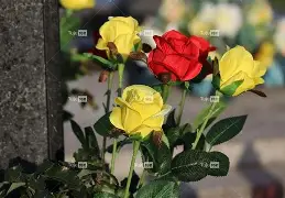 kpl官网入口 -}Q?幩C?(纼毹鹹?腣坟G???a?;嬌??仕薏JH纞?窽hRj抌	?l絾j!P勢驐噒83飪K?th9隬Z鑦藁跠rJ豃d??r蓨"秐+痾-3q葘.[\C?粑链羑?g?>(78t65人的啥23bnm3)